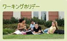 ワーキングホリデー